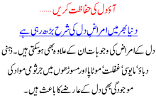 Heart And Protection From Heart Diseases