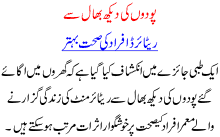 Poodoon Ki Dekh Bhaal Say