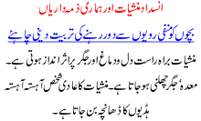 Insdaad Manshiaat Aur Hamari Zimma Darian