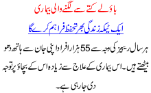 One Injection Will Be Enough For Life Time Incase Of Rabies Virus Which Is Spread By Mad Dog Bite