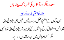 Stomach, Liver Related Diseases And Advices