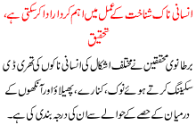 Human Nose Can Play Important Role In Indentification A New Research Shows