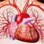 Increase in Fats ratio in blood can cause heart diseases