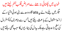 Increase In Fats Ratio In Blood Can Cause Heart Diseases