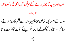 Apple And Its Juice Is Very Useful In Aesthma