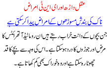 Aqal Darh Aur Ent Amraaz