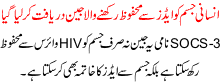 Insani Jism Ko Aids Sa Mehfooz Rkhnay Wala Jean Daryaft Kr Liya Gya