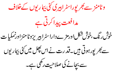 Vitamins Sa Bharpoor Strawbery Kai Bimarion K Khilaaf Madafat Peda Krti Ha