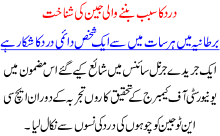 Dard Ka Sabab Bannay Wali Jean Ki Shnakht