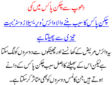 Dhoop Sa Chicken Pox Ma Kami