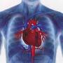 Deaths caused by heart attacks decreased by half in United kingdom