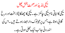 Leechi Lazeez Or Sehat Bakhsh Phal