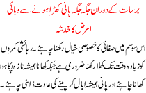 Barsat K Doran Jaga Jaga Pani Kharha Hone Se Wabaie Amraz Ka Khadsha