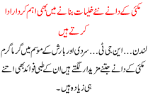 Mkaye K Dane New Khulyat Banane Me B Eham Kirdar Ada Karte Hai
