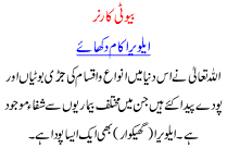 Beauty Corner Elowera Effects