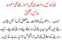 Cheese Is Good For Teeth And Gums: Research