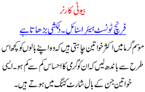 Beauty Corner French Tonst Hair Style