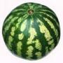 Tarbooz ki khasosiaat watermelon good for health