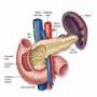 Symptoms of Diabetes in Urdu