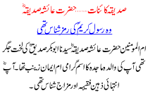 Islamic Article Hazrat Ayesha R.a