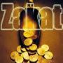 Zakat is one of the improtant pillar of Islam