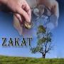 The duty of Zakat