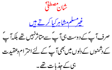 Shan E Mustafa Saw