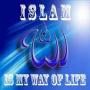 islam tareekh k ainay ma