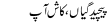 Urdu Joke Online : Paicheedgian,kaash Aap