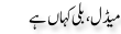 Urdu Joke Online : Medel Billi Kahan Ha