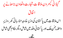 Gilani Camron Mulakaat