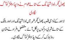 Loadshading K Sataye Awam Na Wapda K Daftar Ko Aag Lga Di