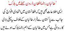 Taliban Rehnuma Afghaan Drone Hamlay Ma Halak