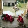 15 lac affected in Pakistan flood.