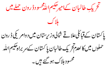 Ameer Of Ttp Hakimula Mehsood Dead In Droon Attacks