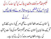 Hakimullah Mehsud Was Killed At The Wrong Time Hamid Karzaye