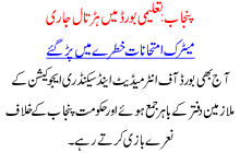 Strike In Punjab Education Board Continues