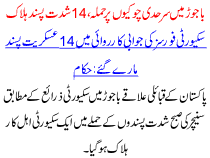 Attack On Border Posts In Bajoor 14 Militants Killed