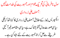 Civil Disobedience Movement Not Serve Democracy And Public Asif Ali Zardari