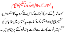 New Talban Organization Established In Pakistan