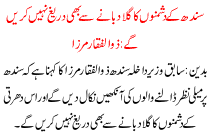 Strangle Enemies Of Sindh Will Not Hesitate Zulafqar Mirza