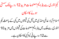 From 1 January 12 Rs Petroleum Products Likely To Be Cheaper