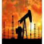 Oil rates  Increase in Global Market
