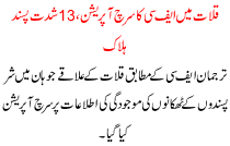 Fc Operation In Qalat 13 Militants Killed