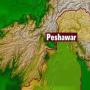 10 killed in Peshawar suicide attack Numerous injured