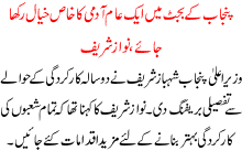 Normal People Should Be Given Priority In Punjab Budget 2010 Says Nawaz Sharif