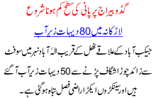 Water Level Goes Down At Guddu Barrage