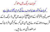 Kohat Surung Me Dhamaka