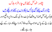 Pishawer Khudkush Hamlay Ma 4 Halak