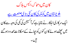 Kaan Ma Dhmaka 21 Halak